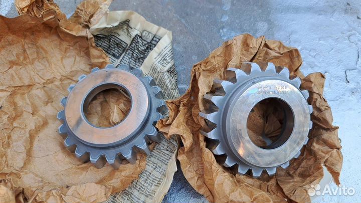 Долбяк чашечный