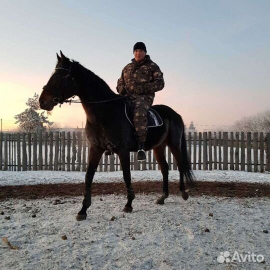 Техник, Механик