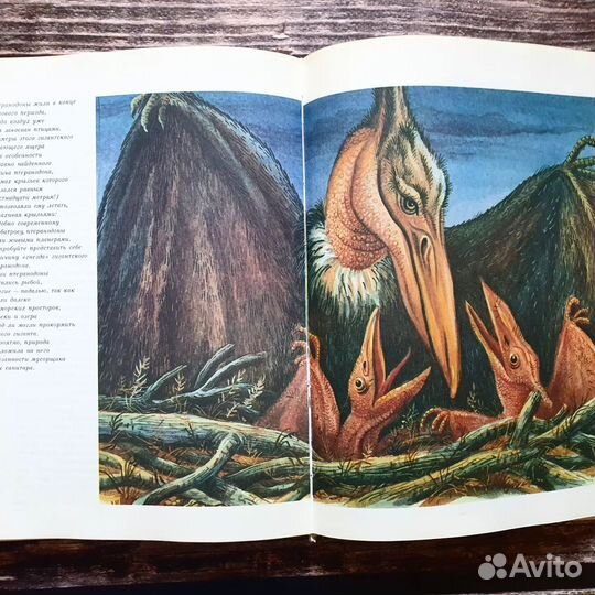 Яковлева. По следам минувшего 1983 г