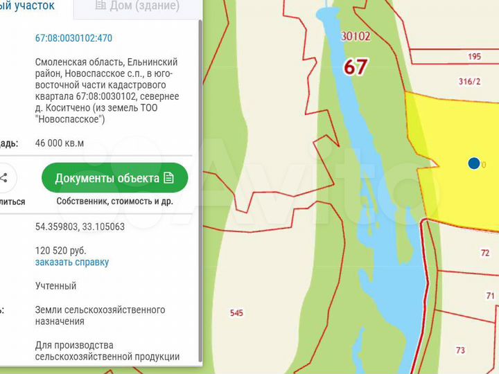 Участок 4,6 га (СНТ, ДНП)