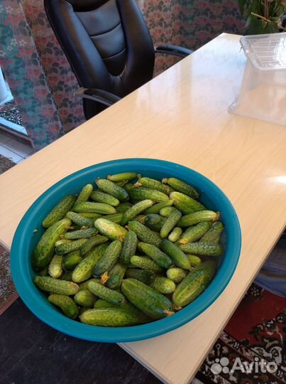 Сало, мёд, огурцы, перловка, изюм