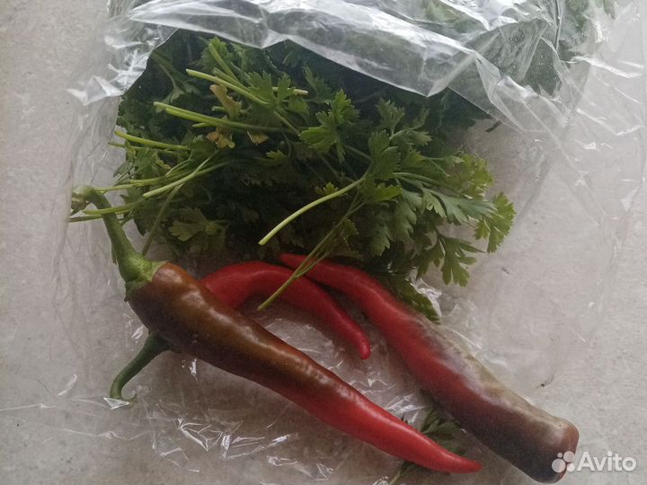 Петрушка (пакет) +укроп с хреном+перец чили+огурцы