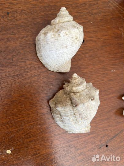 Украшения для аквариума