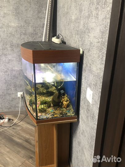 Аквариум с тумбой 170л