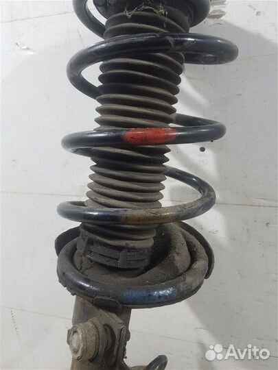 Амортизатор передний правый Ford Focus 2 (04-08)