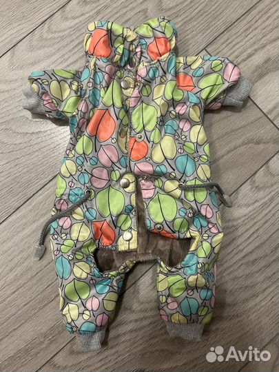 Одежда для маленьких пород собак