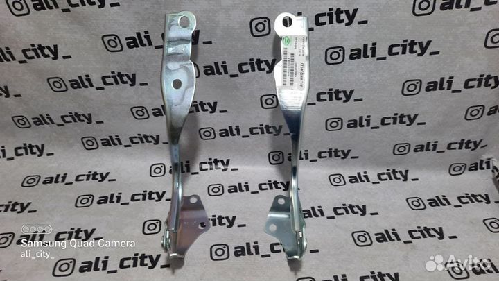 Петли капота Солярис 14-17г Sat