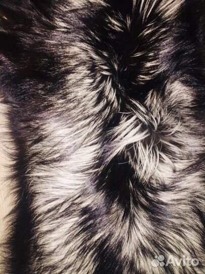 Мех чернобурой лисы