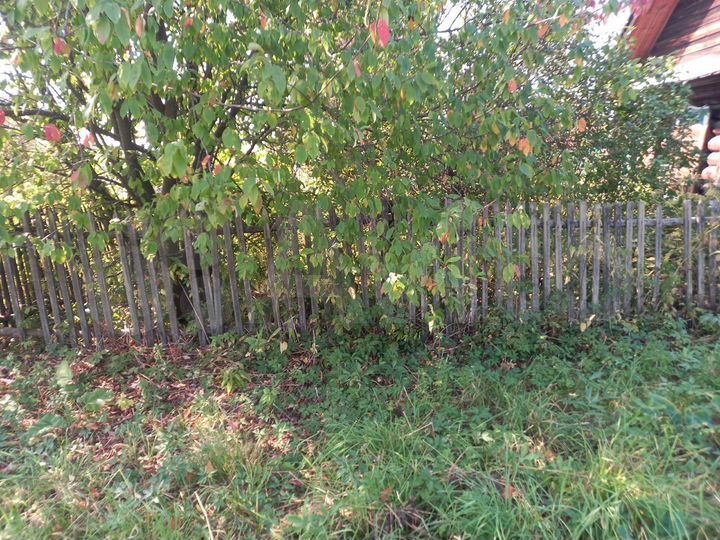 Дом 21,9 м² на участке 14,9 сот.