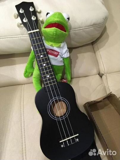 Новая укулеле и чехол