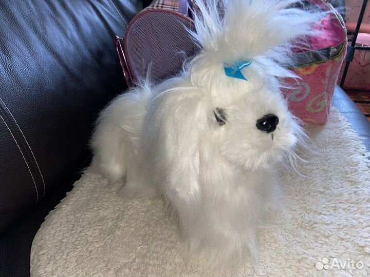 Собачки в сумочке Pucci Pups