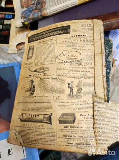 Главный каталог семян и растений на 1908 год