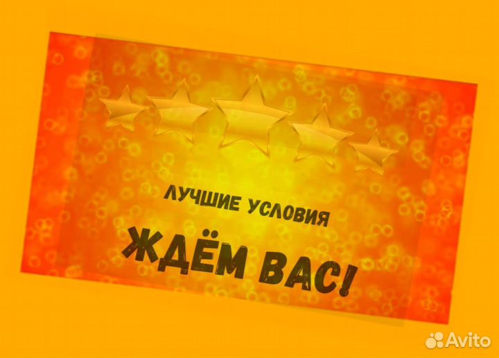 Наборщик заказов Без опыта Еженедельные выплаты