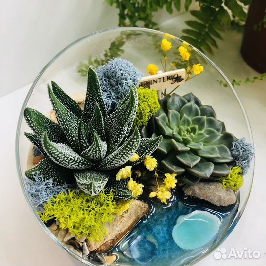 Мастер классы по созданию флорариумов