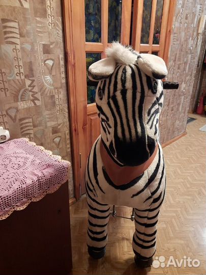 Поницикл большой профессиональный