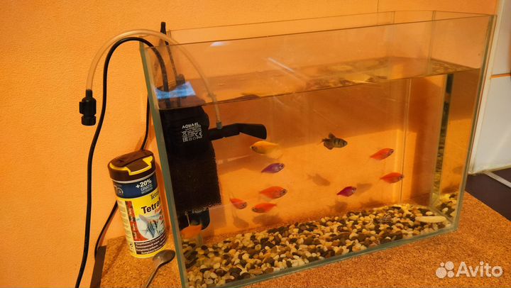 Аквариум готовый с рыбками