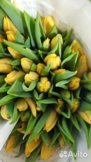 Тюльпаны букет тюльпанов