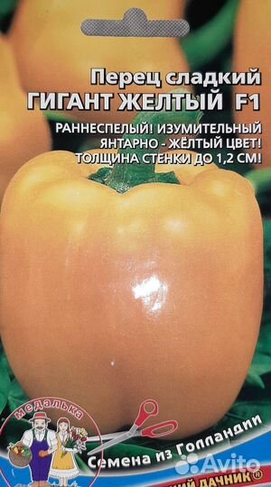 Рассада