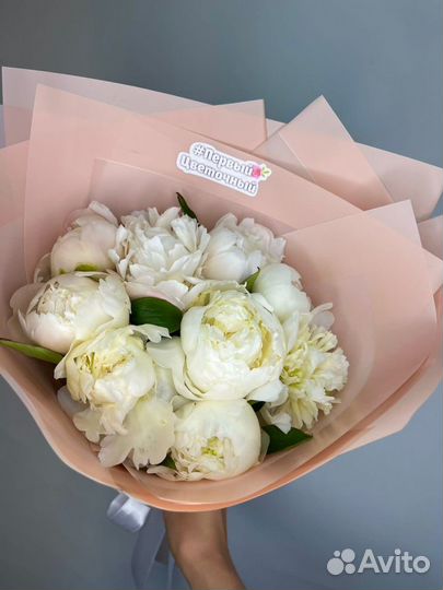 Белые пионы