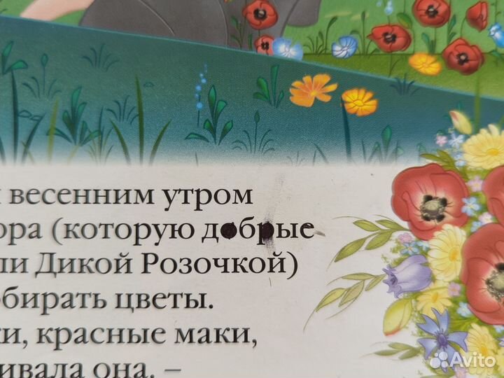 Книга «Путеводитель по миру принцесс»