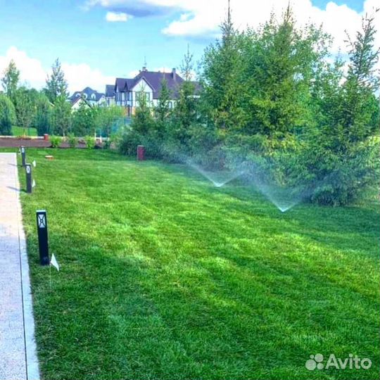 Газон. Рулонный газон