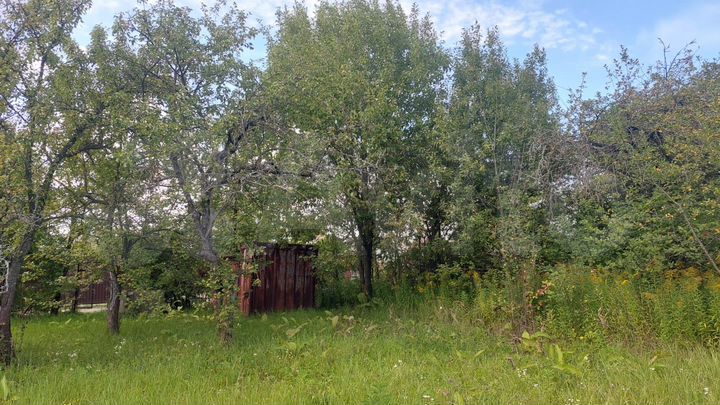 Участок 6,8 сот. (СНТ, ДНП)