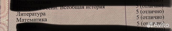 Напишу сочинение