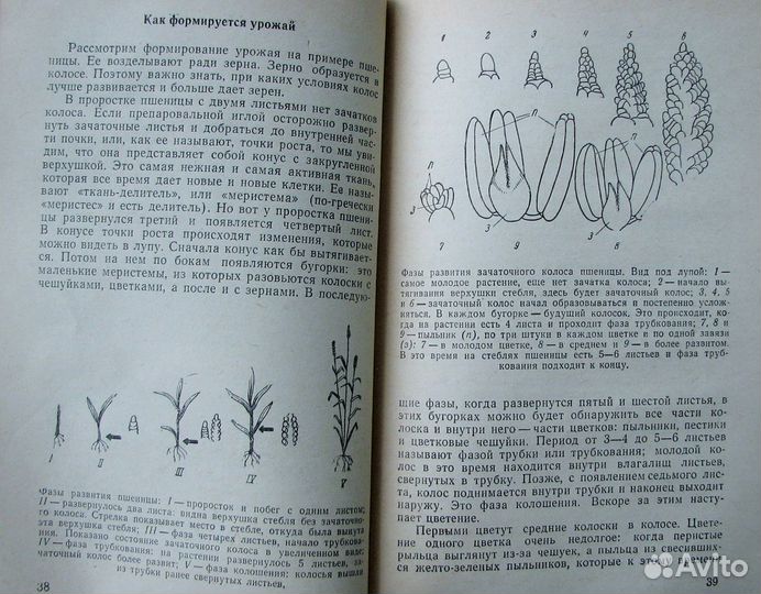 Церлинг В. Растения рассказывают. (Знай и умей)