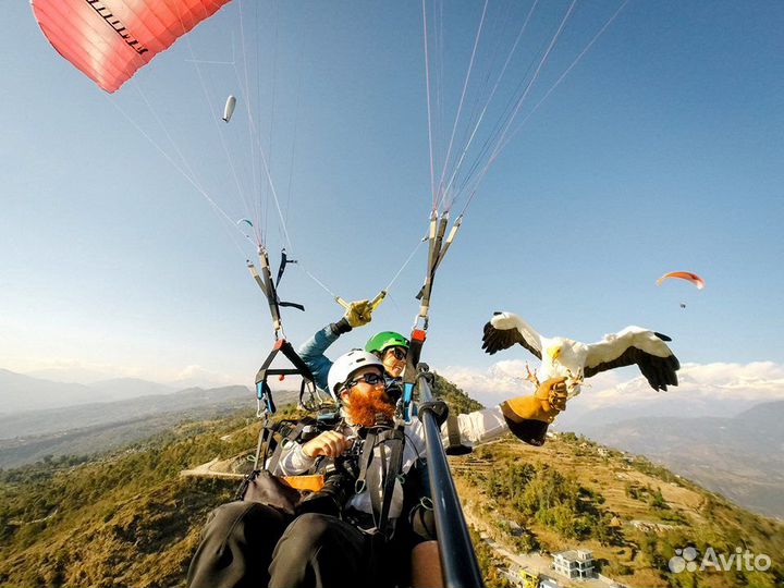 Параплан.Экскурсии. Сертификат, фотозона