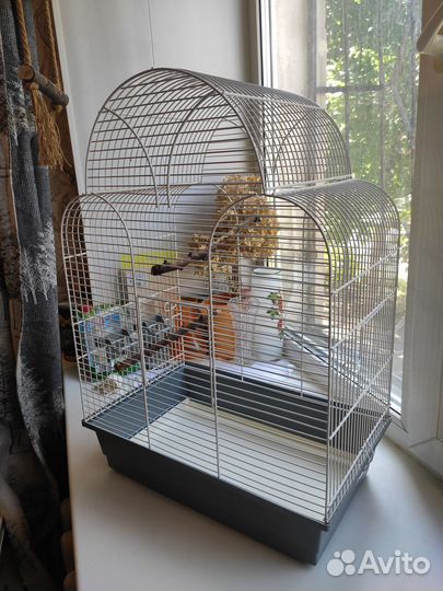 Клетка для птиц