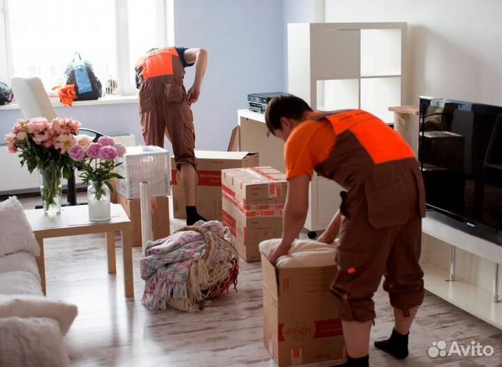 Переезды Грузчики