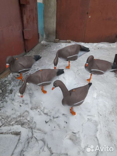 Чучела гусей 20шт