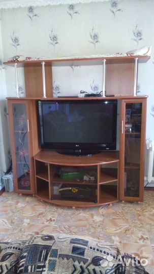 Горка Юность ант