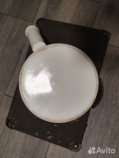 Утка медицинская старинная