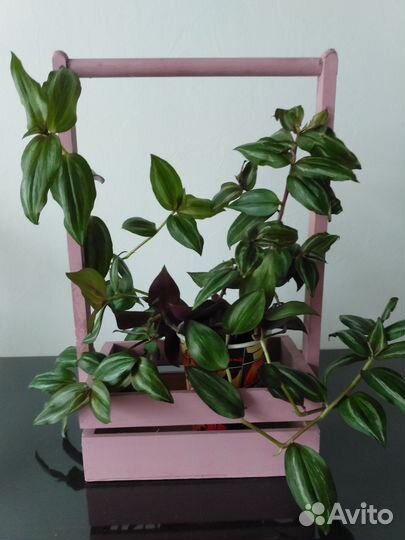 Ящик деревянный с ручкой для декора