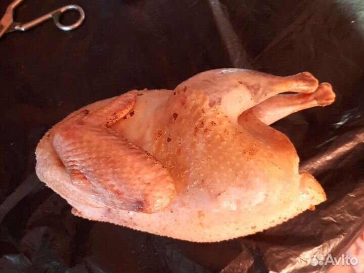 Куры Утки Петухи Цыплята