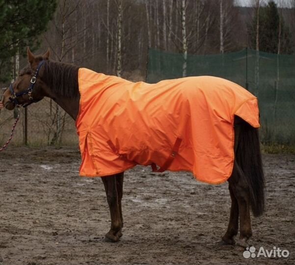 Попоны для лошадей и пони,недоуздки