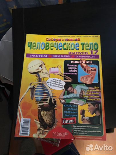 Скелет Артема его части с журналами, собери и позн