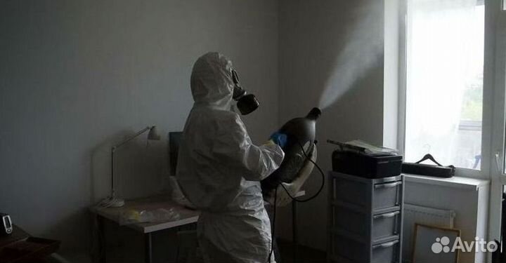 Уничтожение тараканов мышей плесени