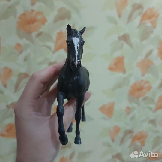 Рейзин Бублик