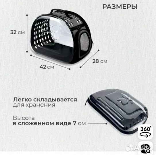 Продаются Морские свинки (2 мальчика)