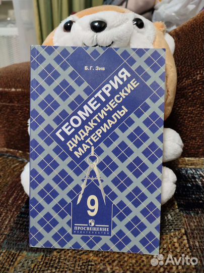 Б. Г. Зив — Геометрия