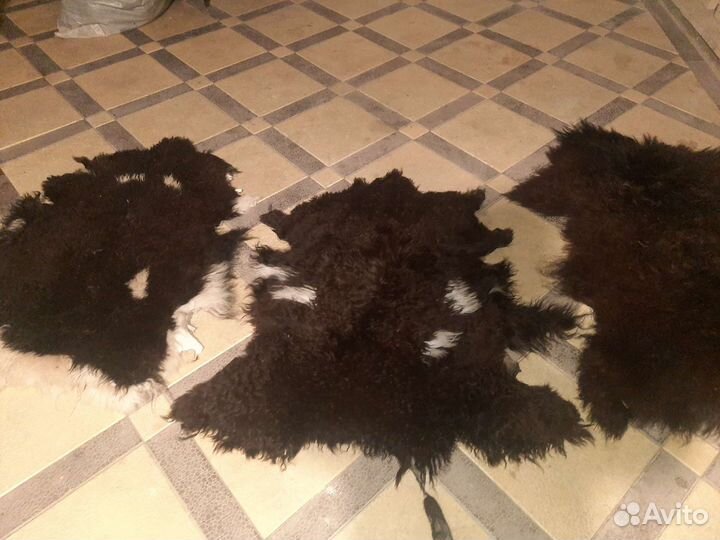 Овечьи шкурки натуральные
