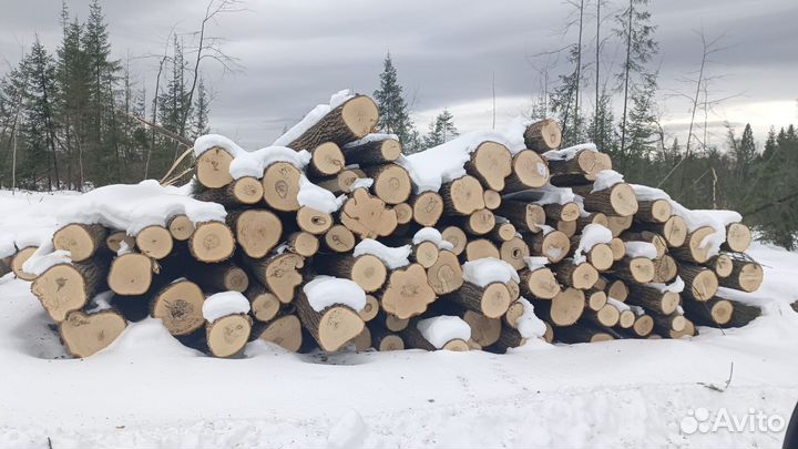 Лес кругляк пиловочник