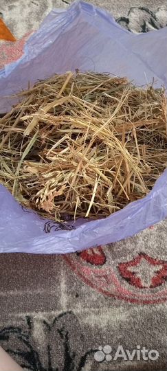 Клетка переноска для хомяков, мелких грызунов