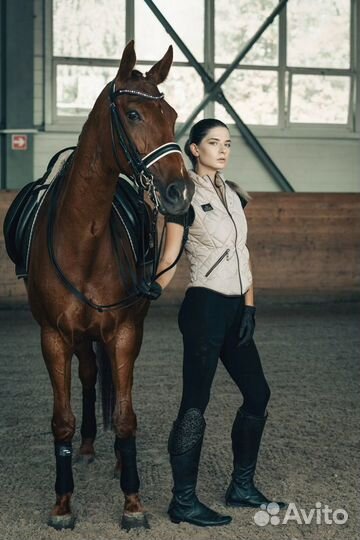Лошадь в аренду