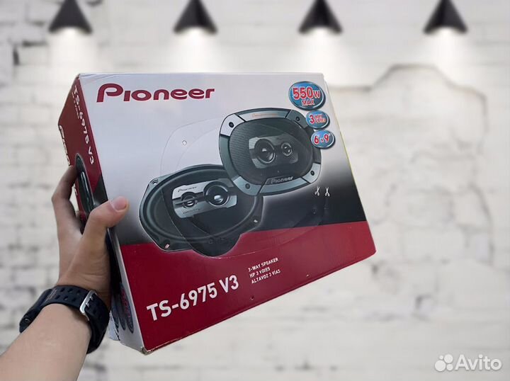 Громкие овалы Pioneer (Vietnam)