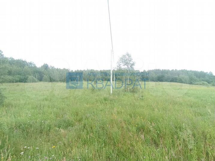 Участок 16,3 сот. (СНТ, ДНП)