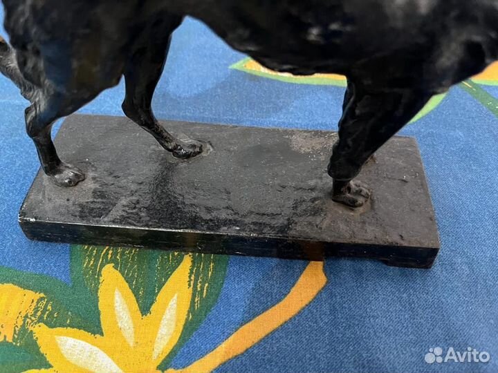 Русская псовая борзая Касли