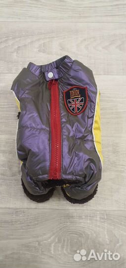 Одежда для собак мелких пород